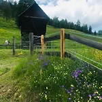 Wohlfuehl-appartement Inklusive Muraugaestecard Apartment Sankt Georgen ob Murau