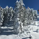 Wohlfuehl-appartement Inklusive Muraugaestecard Sankt Georgen ob Murau