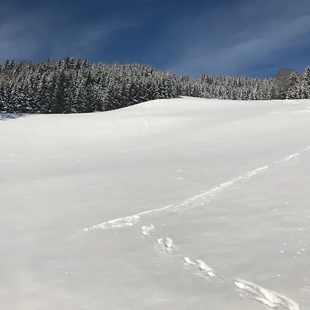 Apartamento Wohlfühlappartement Kreischberg *