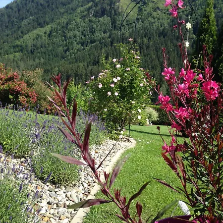 Wohlfuehl-appartement Inklusive Muraugaestecard Lejlighed Sankt Georgen ob Murau