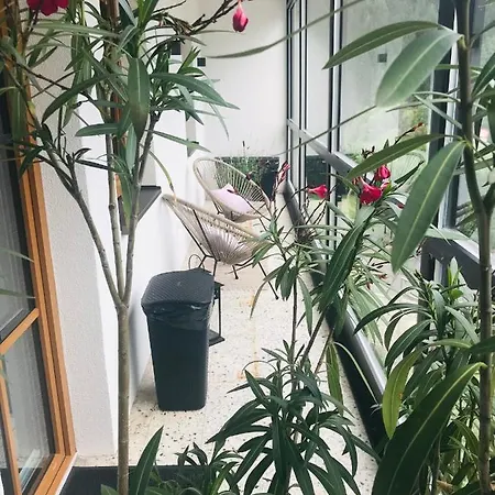 Wohlfuehl-Appartement Kreischberg 아파트 *