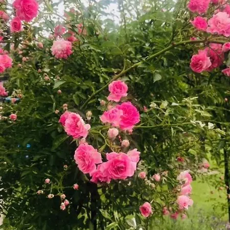 Wohlfuehlappartement Kreischberg By Erich Appartamento Sankt Georgen ob Murau