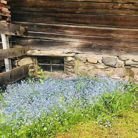 Wohlfühlappartement Kreischberg * Sankt Georgen ob Murau