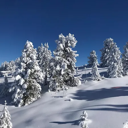 Wohlfühlappartement Kreischberg *