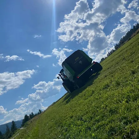 Apartment Wohlfühlappartement Kreischberg Sankt Georgen ob Murau