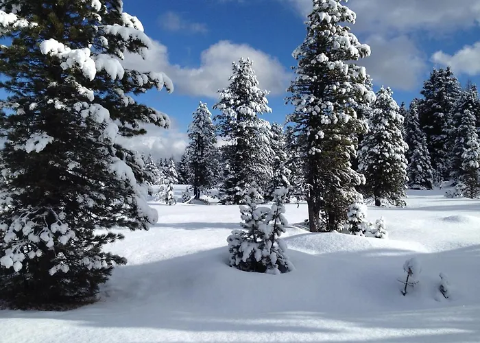 Apartamento Wohlfühlappartement Kreischberg *
