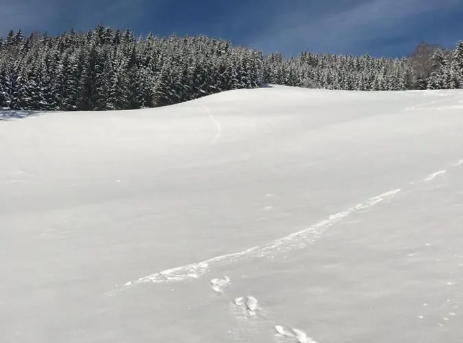 Apartamento Wohlfühlappartement Kreischberg *