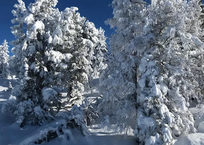 Apartamento Wohlfühlappartement Kreischberg