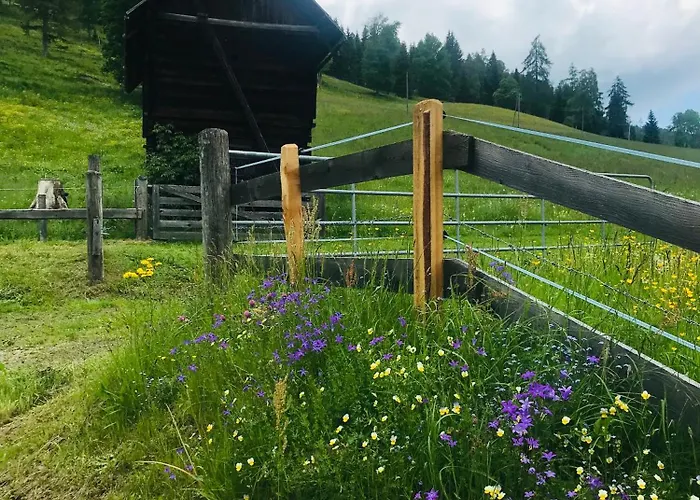 Wohlfühlappartement Kreischberg Apartamento Sankt Georgen ob Murau