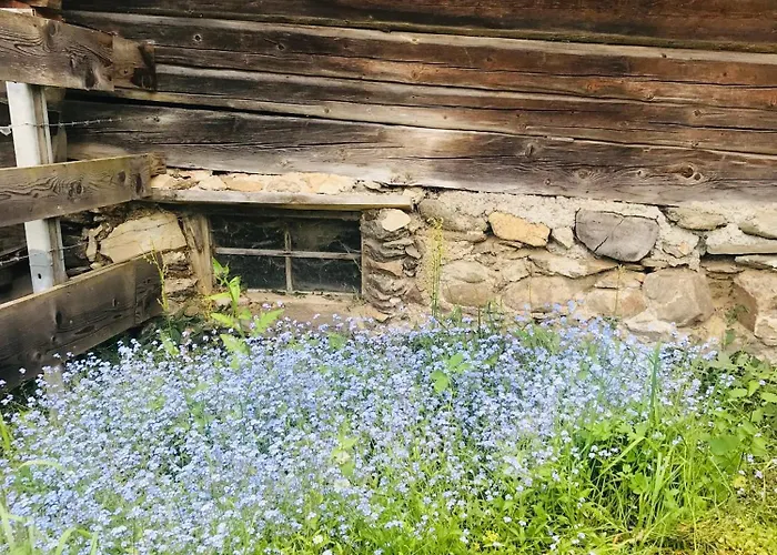 Wohlfühlappartement Kreischberg * Sankt Georgen ob Murau
