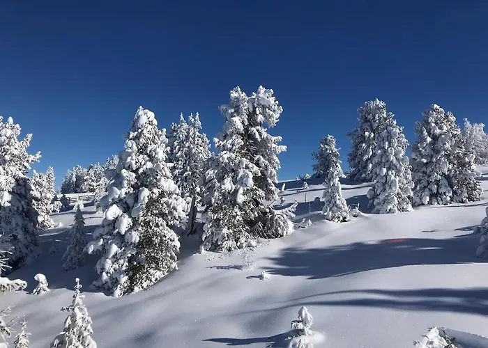 Wohlfühlappartement Kreischberg *